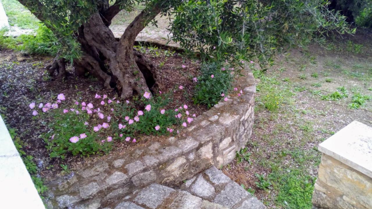 Villa Tzitzifes Stone Mansion Exterior foto